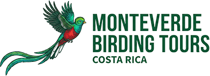 Monteverde Birding Tours